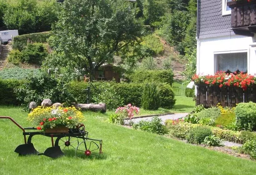 ペンション Ferienwohnungen Schäferhaus, Incl Meinecardplus