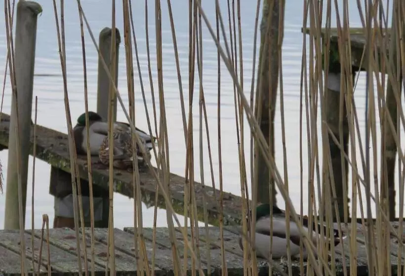 Majatalo Gast & Logierhaus Am Rheinsberger See