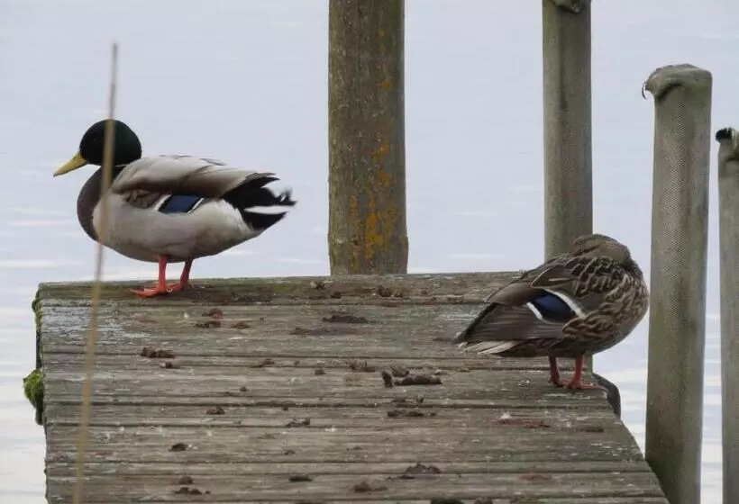 Majatalo Gast & Logierhaus Am Rheinsberger See