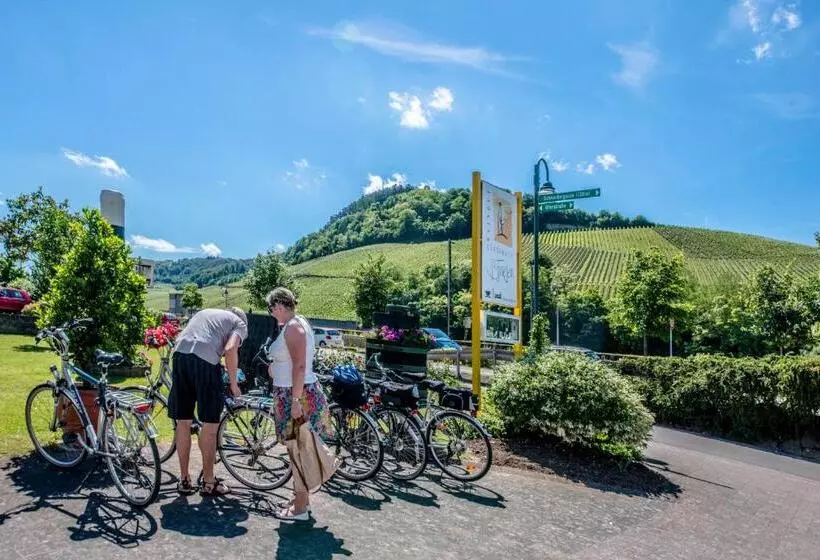 ペンション Gästehaus Und Weingut Bernd Frieden