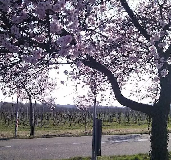 Majatalo Gästezimmer / Weingut Peter