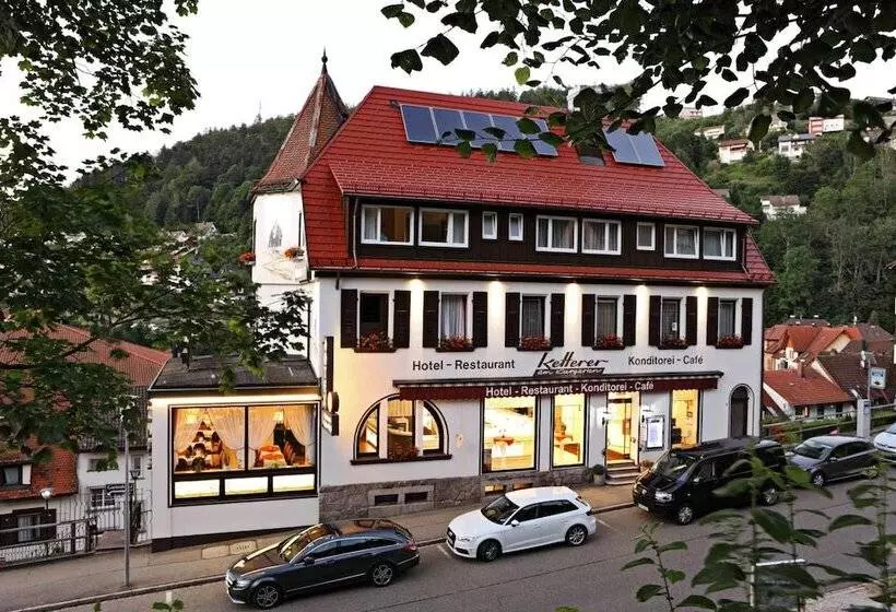 ペンション Restaurant Ketterer Am Kurgarten