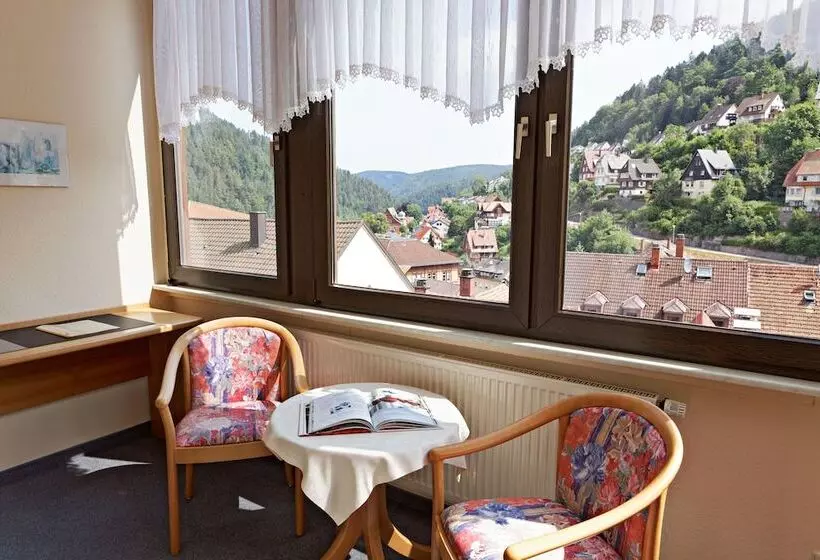 ペンション Restaurant Ketterer Am Kurgarten