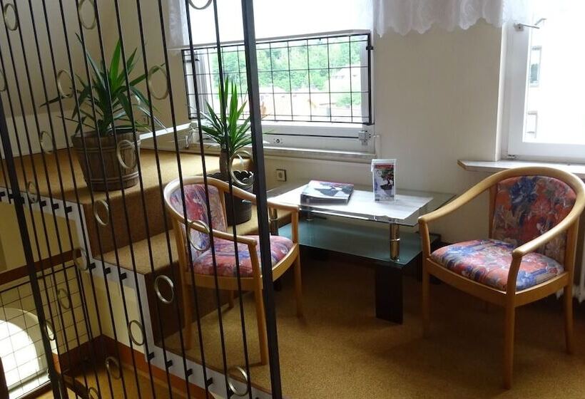 Pensionat Restaurant Ketterer Am Kurgarten