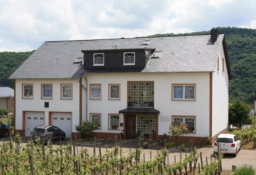 Pension Weingut Und Gästehaus Wolfgang Beth