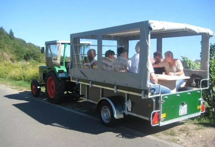Pension Weingut Und Gästehaus Wolfgang Beth