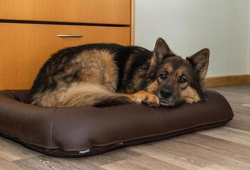 Rügener Ferienhäuser Am Hochufer