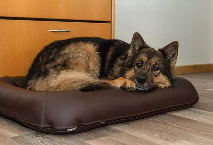 Rügener Ferienhäuser Am Hochufer