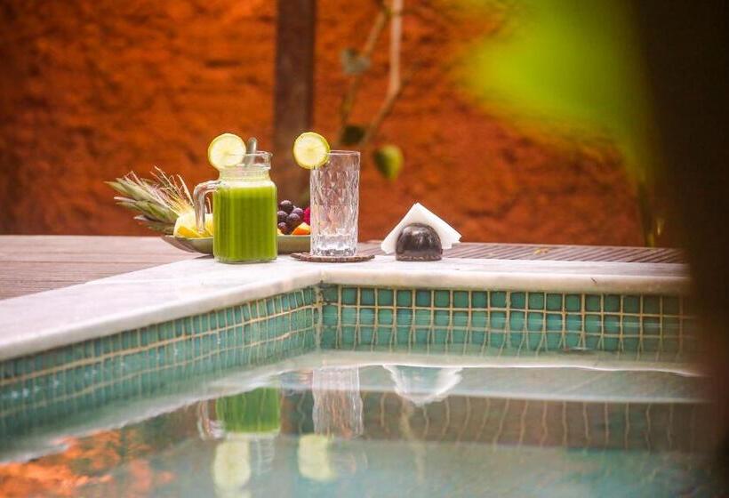 Pension Villa Arumã Pousada