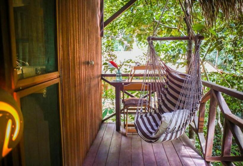 Pension Villa Arumã Pousada