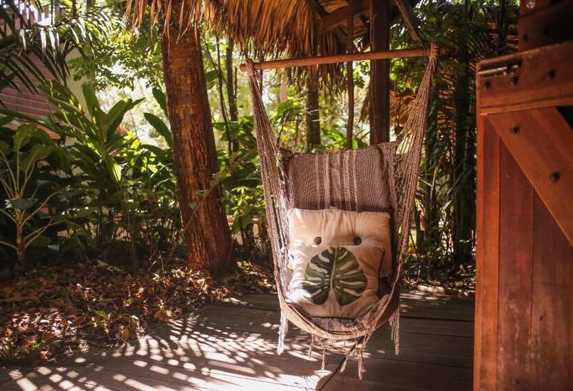 Pension Villa Arumã Pousada