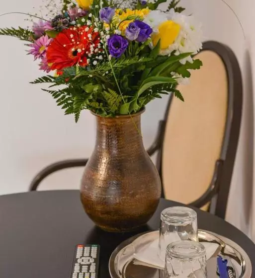 Pensió Noblesse House Deva