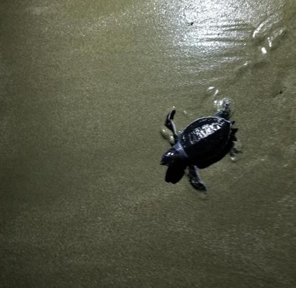 مبيت وإفطار Lacasa   San Juan Del Sur