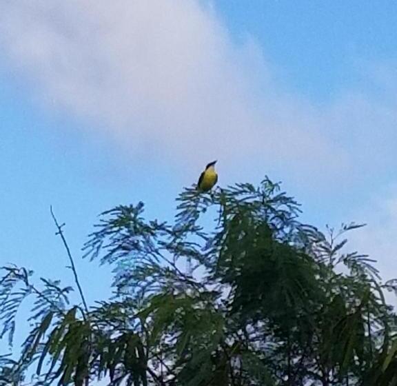 مبيت وإفطار Lacasa   San Juan Del Sur