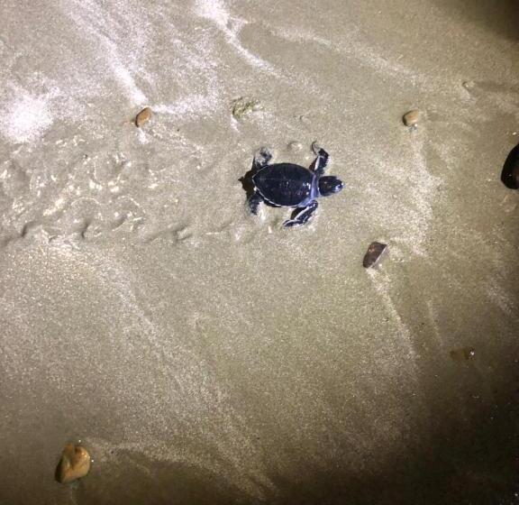 مبيت وإفطار Lacasa   San Juan Del Sur