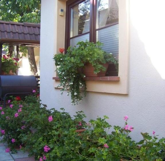 Pensiunea Casa Albă