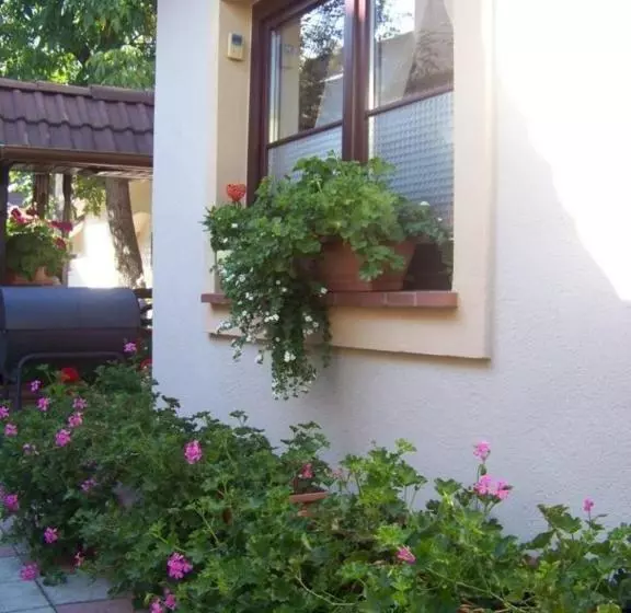 Pensiunea Casa Albă