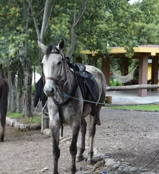 Majatalo Casa De Campo