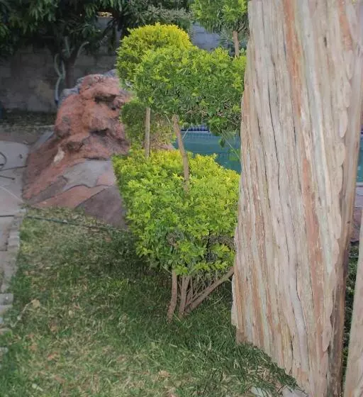 پانسیون Global Guest House