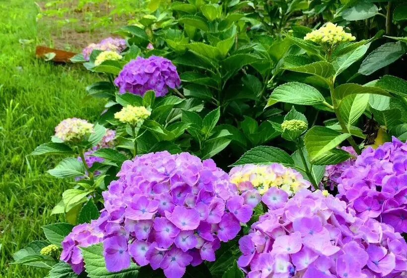 پانسیون Guesthouse Kinzaza