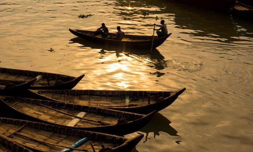 پانسیون Japanese Lodge Hydrangea