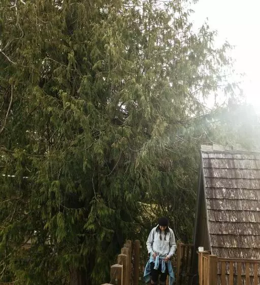 Hotelli The Shoreline Tofino