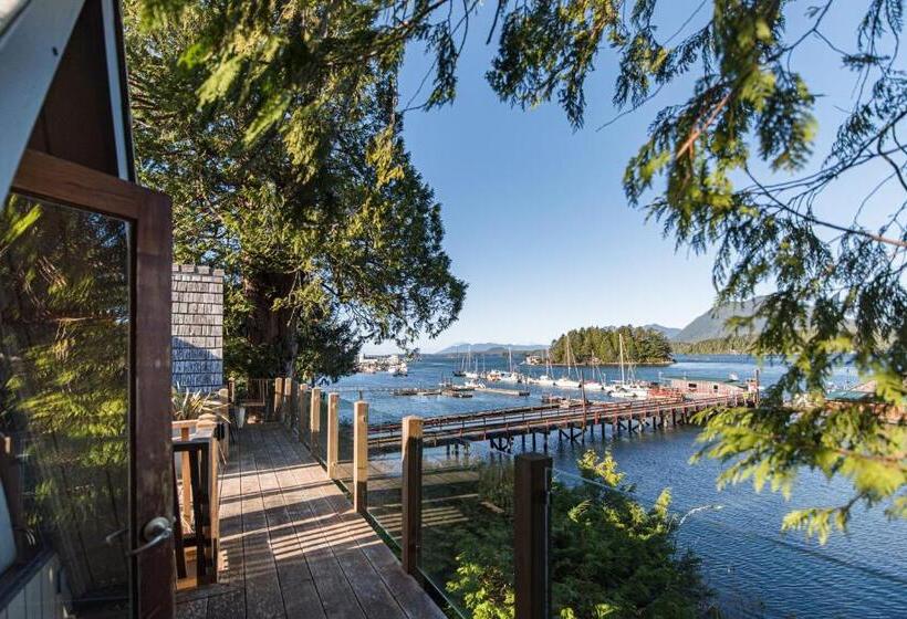 בית מלון כפרי The Shoreline Tofino