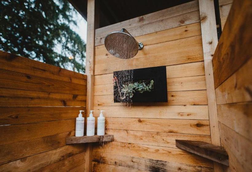 בית מלון כפרי The Shoreline Tofino