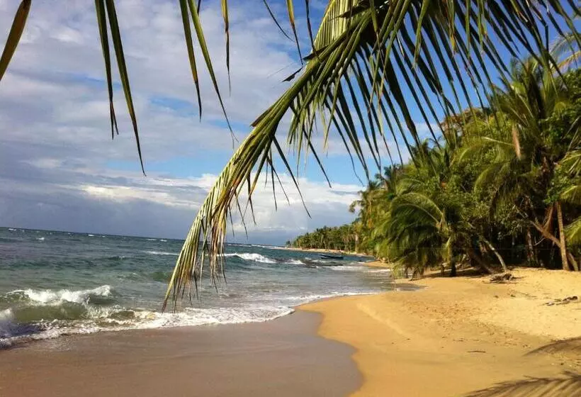 Majatalo Roots Family