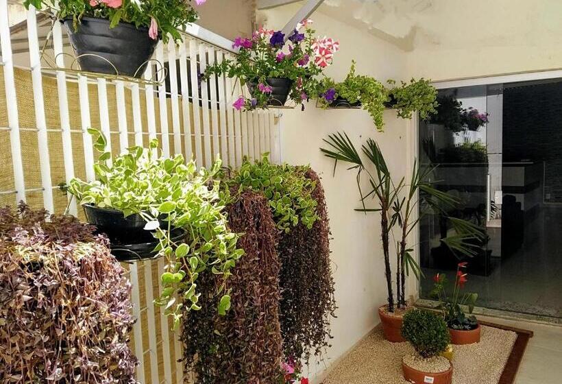 פנסיון Aconchego