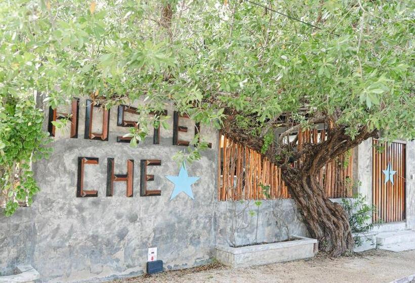 Che Holbox Hostel & Bar Adults Only