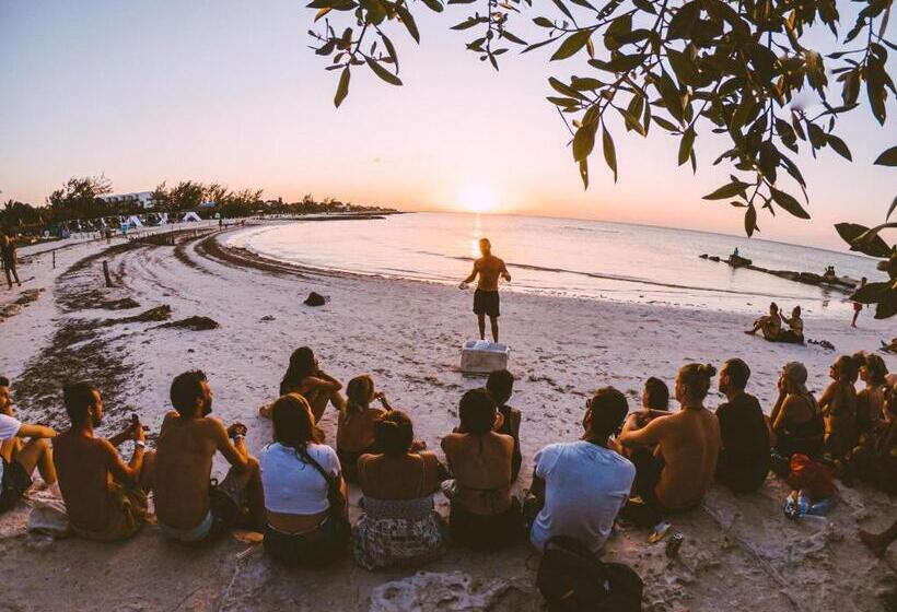 Che Holbox Hostel & Bar Adults Only