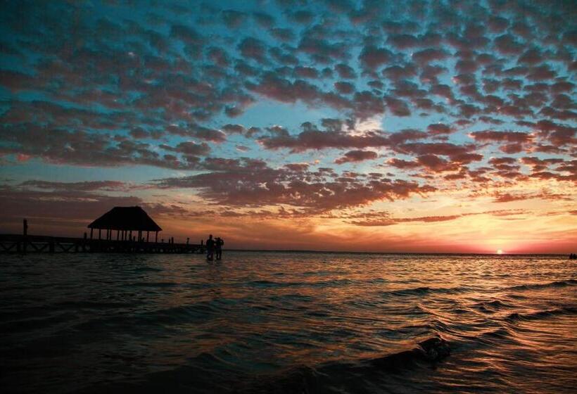 Che Holbox Hostel & Bar Adults Only