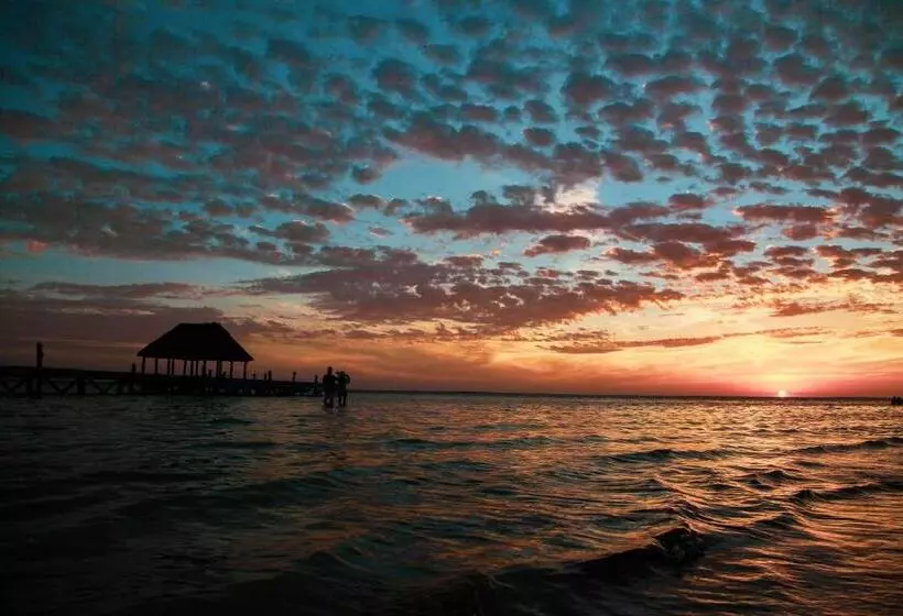 Che Holbox Hostel & Bar Adults Only