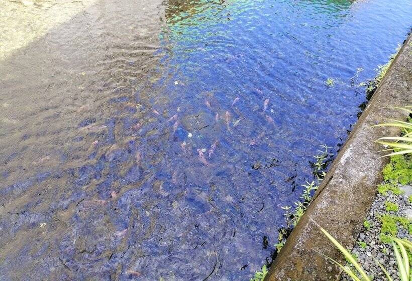 Pensjonat Casa Herminia Baler