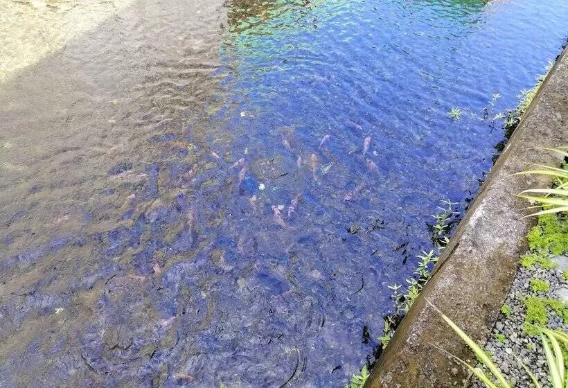Majatalo Casa Herminia Baler
