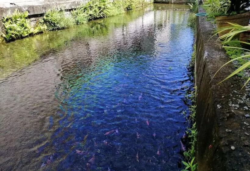 Majatalo Casa Herminia Baler