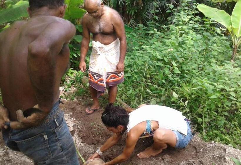 Pension Siri Medura Surf Yoga Meditation Guesthouse And Hostel