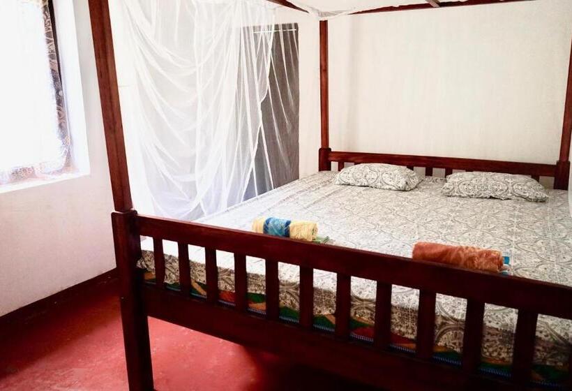 Pension Siri Medura Surf Yoga Meditation Guesthouse And Hostel