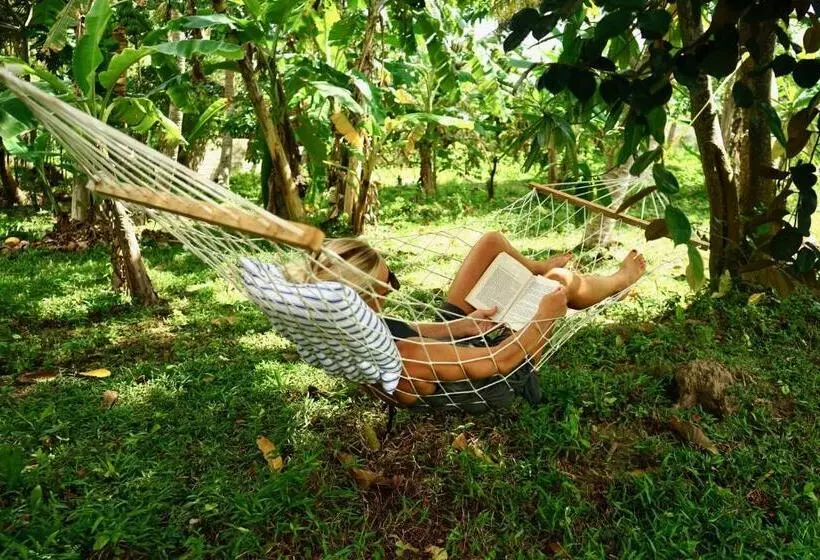 پانسیون Siri Medura Surf Yoga Meditation Guesthouse And Hostel