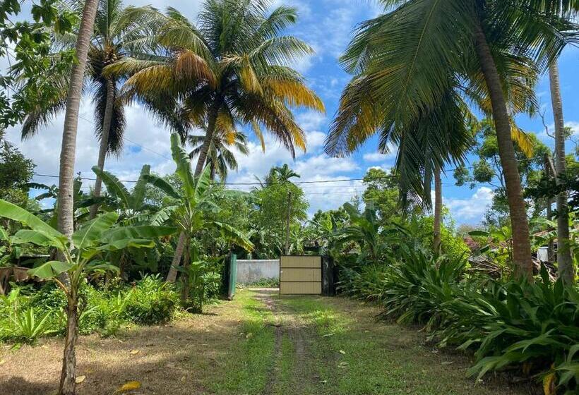 Pension Siri Medura Surf Yoga Meditation Guesthouse And Hostel