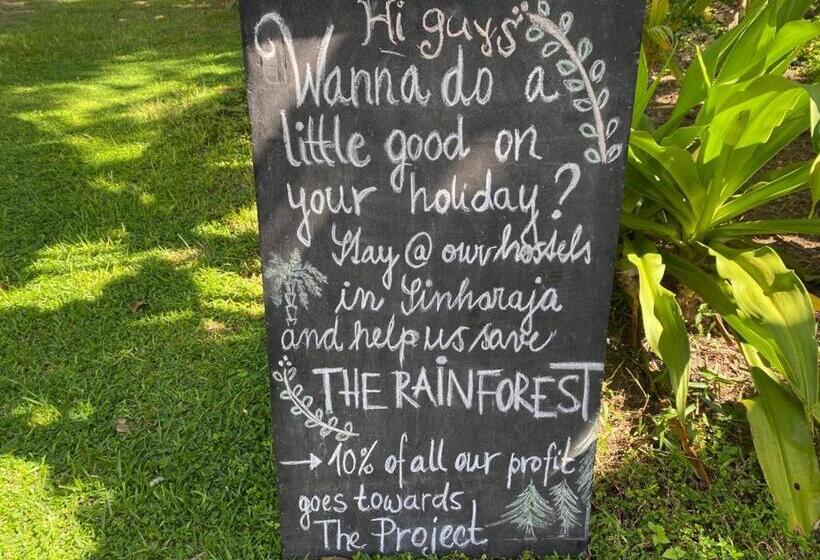 Pension Siri Medura Surf Yoga Meditation Guesthouse And Hostel