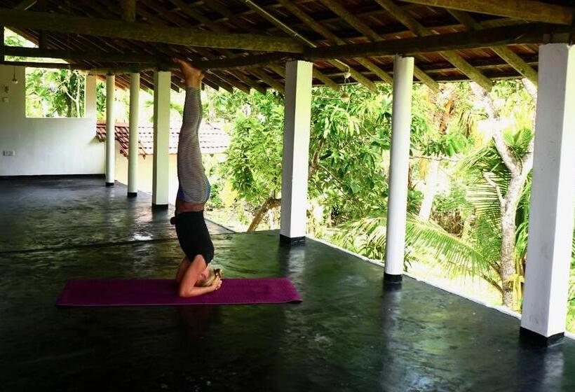 Pension Siri Medura Surf Yoga Meditation Guesthouse And Hostel