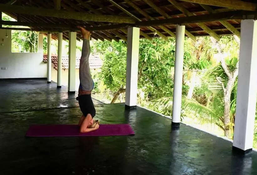 پانسیون Siri Medura Surf Yoga Meditation Guesthouse And Hostel