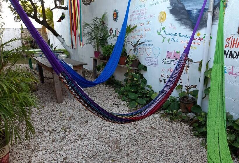 Schronisko Hostal Guacamayas