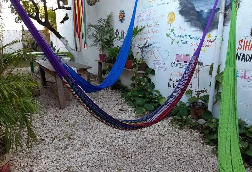 ユースホステル Hostal Guacamayas