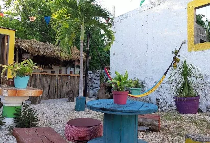ユースホステル Hostal Guacamayas