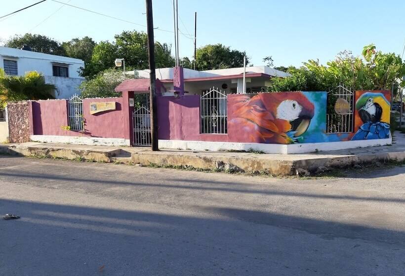 Schronisko Hostal Guacamayas