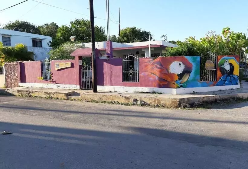 ユースホステル Hostal Guacamayas