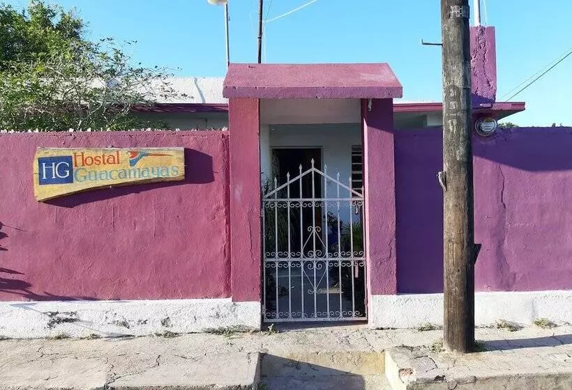 ユースホステル Hostal Guacamayas